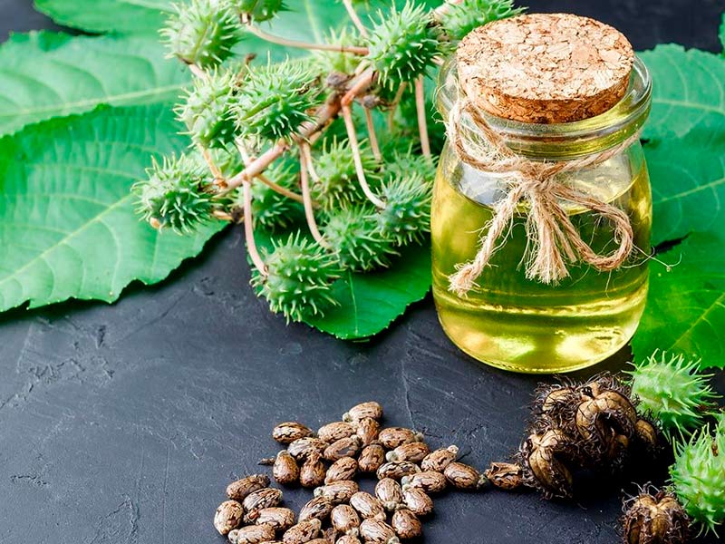 aceite-de-risino-y-semillas